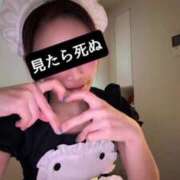 ヒメ日記 2024/12/13 03:18 投稿 ルイ sweet kiss