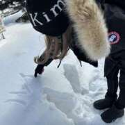 ヒメ日記 2024/12/17 22:34 投稿 ルイ sweet kiss