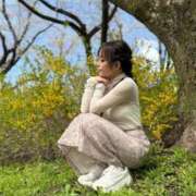 ヒメ日記 2025/04/10 09:19 投稿 ルイ sweet kiss