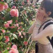 ヒメ日記 2025/04/16 02:39 投稿 ルイ sweet kiss