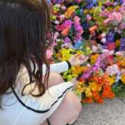 ヒメ日記 2025/04/16 12:44 投稿 ルイ sweet kiss