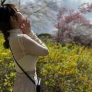 ヒメ日記 2025/04/20 07:49 投稿 ルイ sweet kiss