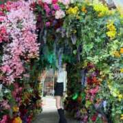 ヒメ日記 2025/04/20 09:19 投稿 ルイ sweet kiss