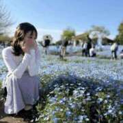 ヒメ日記 2025/04/23 02:31 投稿 ルイ sweet kiss