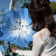 ヒメ日記 2025/04/24 02:19 投稿 ルイ sweet kiss