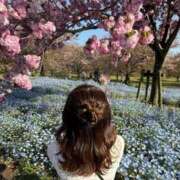 ヒメ日記 2025/04/25 16:59 投稿 ルイ sweet kiss