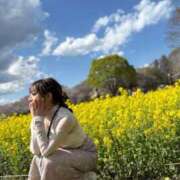 ヒメ日記 2025/05/06 09:19 投稿 ルイ sweet kiss