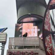 ヒメ日記 2025/05/19 08:29 投稿 ルイ sweet kiss