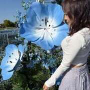 ヒメ日記 2025/05/20 12:09 投稿 ルイ sweet kiss