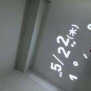 ヒメ日記 2025/05/22 06:49 投稿 ルイ sweet kiss