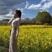 ヒメ日記 2025/05/25 11:29 投稿 ルイ sweet kiss