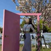 ヒメ日記 2025/05/29 08:19 投稿 ルイ sweet kiss