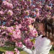 ヒメ日記 2025/06/15 09:29 投稿 ルイ sweet kiss