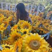 ヒメ日記 2025/08/28 13:23 投稿 ルイ sweet kiss