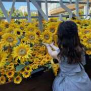 ヒメ日記 2025/09/07 14:29 投稿 ルイ sweet kiss