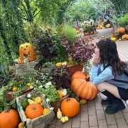 ヒメ日記 2025/10/05 11:49 投稿 ルイ sweet kiss