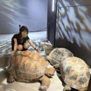 ヒメ日記 2025/10/11 11:34 投稿 ルイ sweet kiss