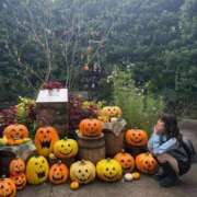 ヒメ日記 2025/10/29 09:29 投稿 ルイ sweet kiss