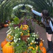 ヒメ日記 2025/10/31 14:19 投稿 ルイ sweet kiss