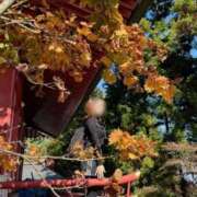 ヒメ日記 2025/11/01 10:04 投稿 ルイ sweet kiss