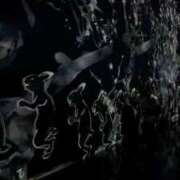 ヒメ日記 2025/11/19 16:03 投稿 ルイ sweet kiss