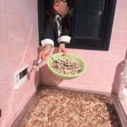 ヒメ日記 2025/11/24 19:19 投稿 ルイ sweet kiss