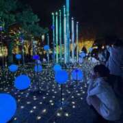 ヒメ日記 2025/12/15 11:39 投稿 ルイ sweet kiss