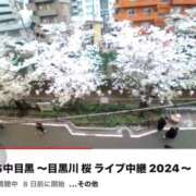 ヒメ日記 2026/03/27 14:29 投稿 ルイ sweet kiss