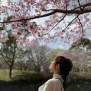 ヒメ日記 2026/03/28 11:29 投稿 ルイ sweet kiss