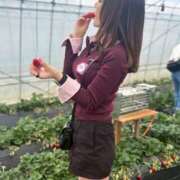 ヒメ日記 2026/03/29 12:29 投稿 ルイ sweet kiss