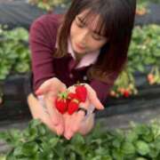 ヒメ日記 2026/03/30 10:29 投稿 ルイ sweet kiss