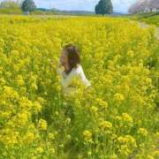 ヒメ日記 2026/04/12 11:49 投稿 ルイ sweet kiss