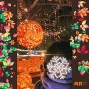 ヒメ日記 2024/12/13 22:10 投稿 向井ひとみ 五十路マダムエクスプレス船橋店(カサブランカグループ)