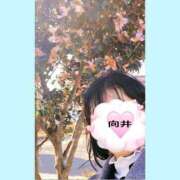 ヒメ日記 2024/12/21 21:18 投稿 向井ひとみ 五十路マダムエクスプレス船橋店(カサブランカグループ)