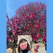 ヒメ日記 2025/02/28 21:00 投稿 向井ひとみ 五十路マダムエクスプレス船橋店(カサブランカグループ)