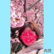 ヒメ日記 2025/03/11 22:32 投稿 向井ひとみ 五十路マダムエクスプレス船橋店(カサブランカグループ)