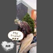 ヒメ日記 2025/03/19 22:32 投稿 向井ひとみ 五十路マダムエクスプレス船橋店(カサブランカグループ)