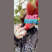 ヒメ日記 2025/03/31 20:46 投稿 向井ひとみ 五十路マダムエクスプレス船橋店(カサブランカグループ)