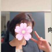 ヒメ日記 2025/04/11 22:04 投稿 向井ひとみ 五十路マダムエクスプレス船橋店(カサブランカグループ)