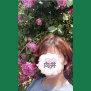 ヒメ日記 2025/05/27 22:32 投稿 向井ひとみ 五十路マダムエクスプレス船橋店(カサブランカグループ)