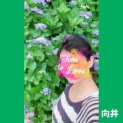 ヒメ日記 2025/06/07 23:12 投稿 向井ひとみ 五十路マダムエクスプレス船橋店(カサブランカグループ)