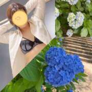 ヒメ日記 2025/06/19 21:32 投稿 向井ひとみ 五十路マダムエクスプレス船橋店(カサブランカグループ)