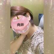 ヒメ日記 2025/07/02 22:58 投稿 向井ひとみ 五十路マダムエクスプレス船橋店(カサブランカグループ)