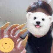 ヒメ日記 2025/12/18 23:08 投稿 向井ひとみ 五十路マダムエクスプレス船橋店(カサブランカグループ)