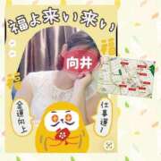 ヒメ日記 2026/01/20 22:22 投稿 向井ひとみ 五十路マダムエクスプレス船橋店(カサブランカグループ)