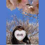 ヒメ日記 2026/02/04 22:16 投稿 向井ひとみ 五十路マダムエクスプレス船橋店(カサブランカグループ)