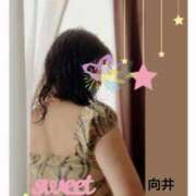 ヒメ日記 2026/02/19 21:36 投稿 向井ひとみ 五十路マダムエクスプレス船橋店(カサブランカグループ)