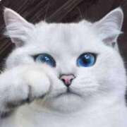 ヒメ日記 2026/02/20 10:14 投稿 向井ひとみ 五十路マダムエクスプレス船橋店(カサブランカグループ)