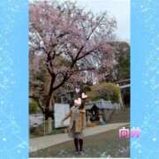 ヒメ日記 2026/03/12 22:02 投稿 向井ひとみ 五十路マダムエクスプレス船橋店(カサブランカグループ)