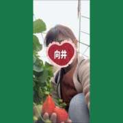 ヒメ日記 2026/03/23 22:28 投稿 向井ひとみ 五十路マダムエクスプレス船橋店(カサブランカグループ)